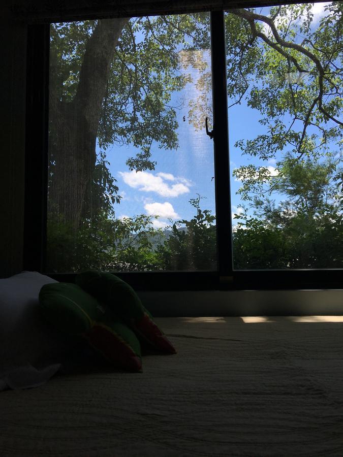 麵包樹舍 Breadfruit B&B Guangfu Exteriér fotografie